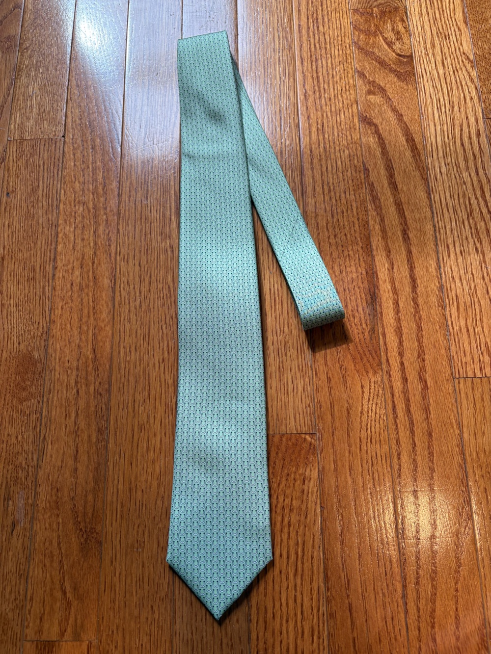 Men's Mint Green Lucky Horseshoe Motif Patterned Silk Tie - Formal Accessory